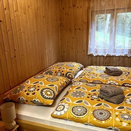 Stylish In National Park Janov