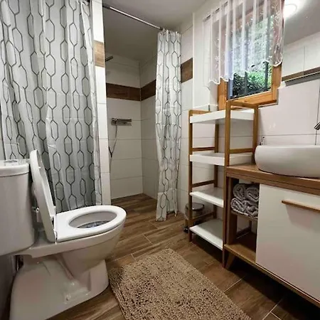 Stylish In National Park Janov